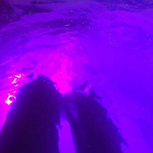 大姑娘日屄视频看一下
