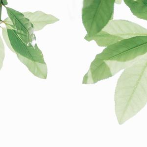 大姑娘日屄视频看一下
