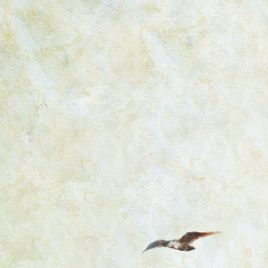 大姑娘日屄视频看一下
