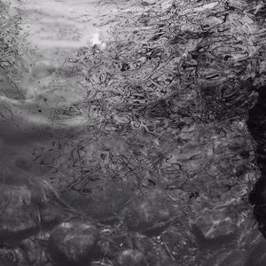 大姑娘日屄视频看一下
